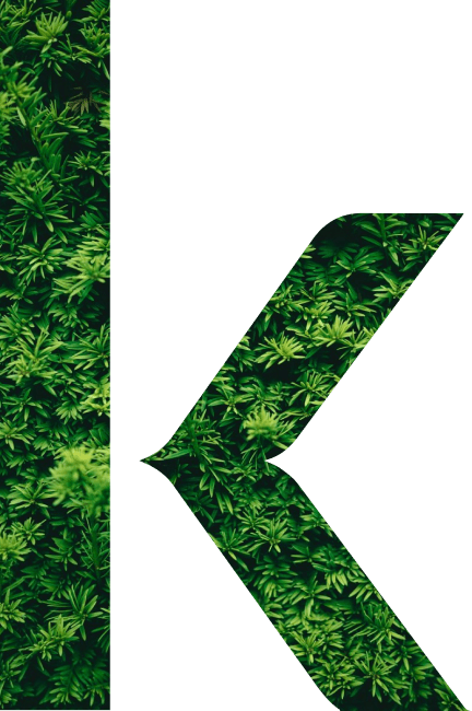 Klimaanlagen-Planung und technische Entwicklung